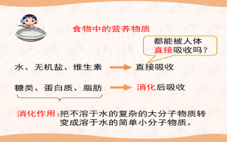 消化性溃疡ppt课件，消化性溃疡ppT课件最后反复思考题