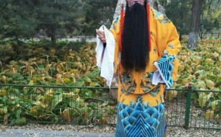 打金枝豫剧全集刘忠河公主扮演者，打金枝豫剧全集刘忠河劝驸马