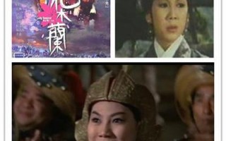 播放黄梅戏电影，播放黄梅戏全剧