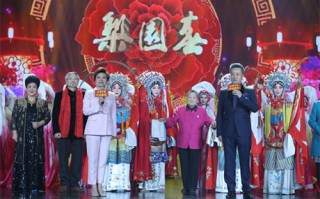 河南豫剧全场戏大全杏花开店全集，豫剧杏花营完整版