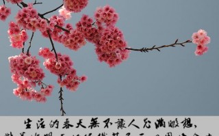 最经典人生感悟语句，最经典人生感悟语句简短